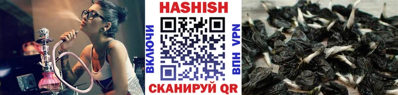 ГАШ VHQ Кизилюрт