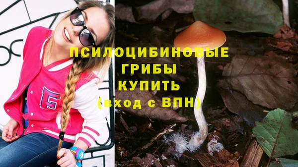 jwh Горно-Алтайск