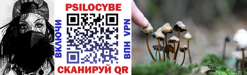Псилоцибиновые грибы Psilocybe  Купить закладки  Кизилюрт 